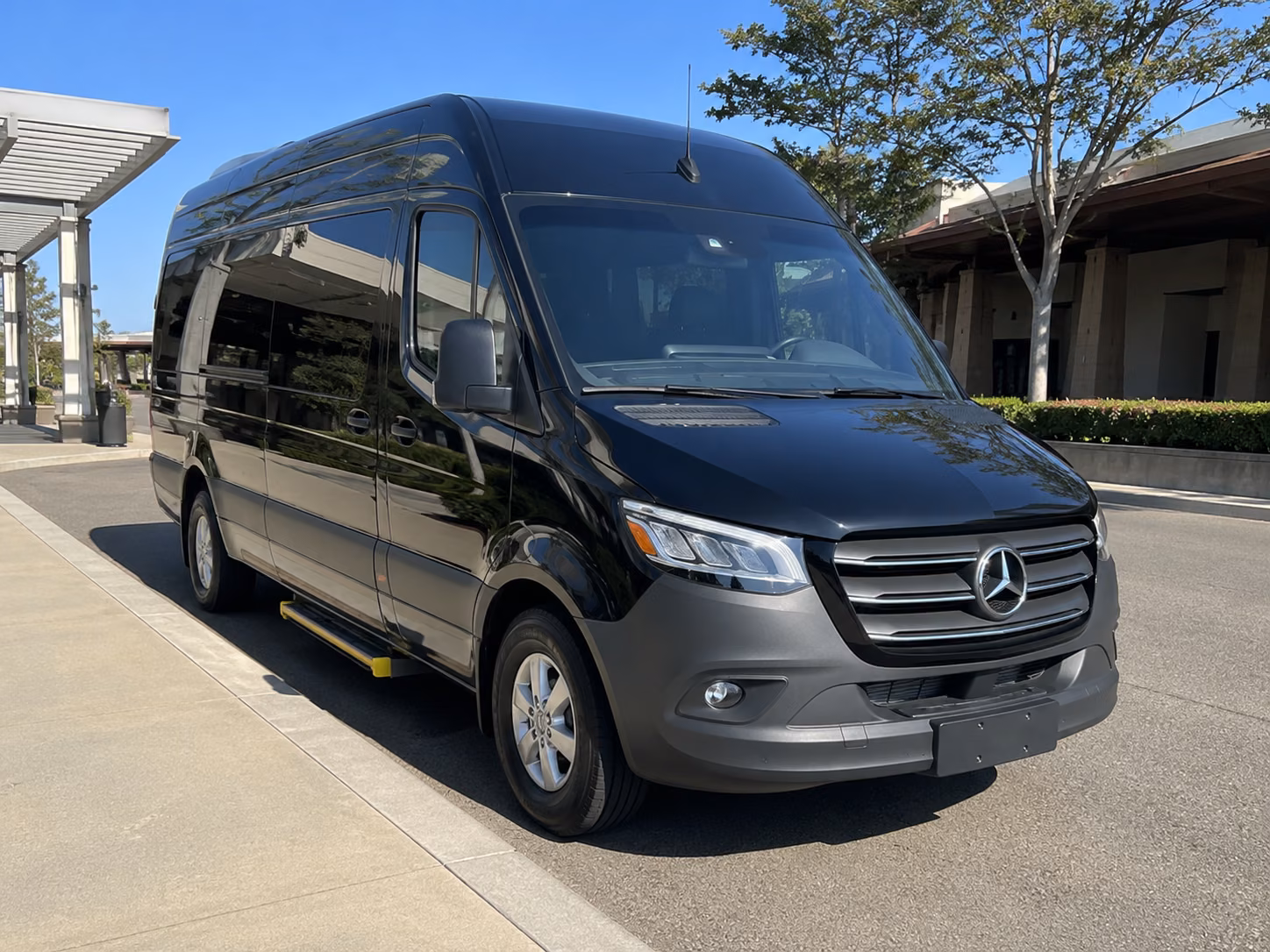 greenville sprinter limousine