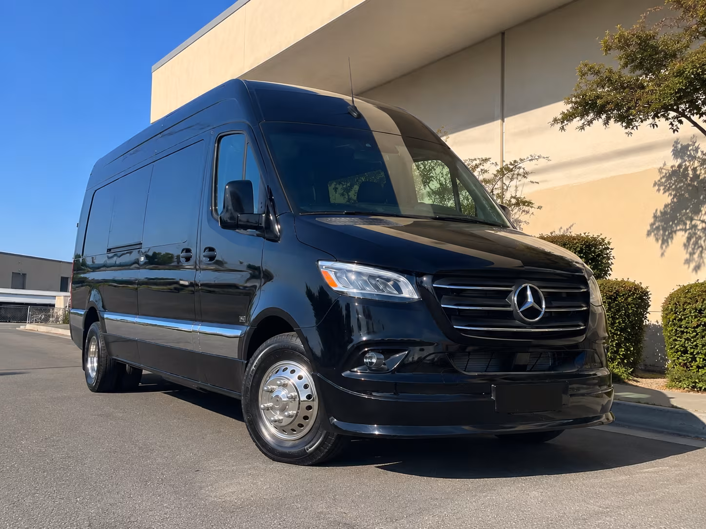 greenville sprinter van with driver